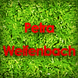 weifenbach_th