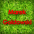 Marek Goldowski