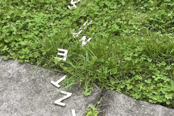 Vorgebirgsparkskulptur_2025_Rolf Steiner_Traum_01 Vorgebirgsparkskulptur_2025_Rolf Steiner_Traum_01