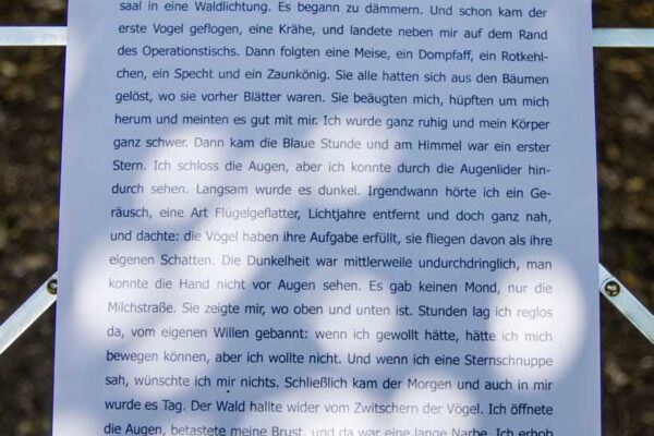 Vorgebirgsparkskulptur_2025_Rolf Steiner_Traum_03 Vorgebirgsparkskulptur_2025_Rolf Steiner_Traum_03