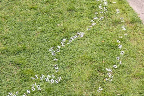 Vorgebirgsparkskulptur_2025_Rolf Steiner_Traum_05 Vorgebirgsparkskulptur_2025_Rolf Steiner_Traum_05